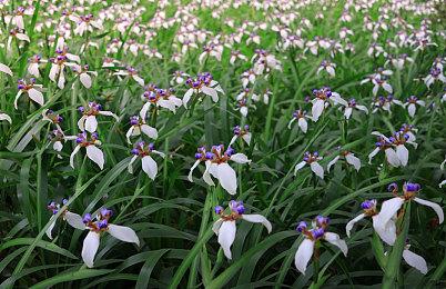 《仙剑奇侠传7》玩家截图赏 风景太美让人沉醉